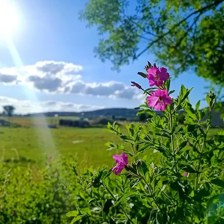 Au Pied Du Trieu, The Glamping Experience Labroye